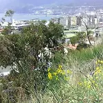 Bed & Breakfast Le Ginestre 3*