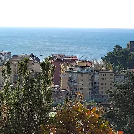 Bed & Breakfast Le Ginestre 3*